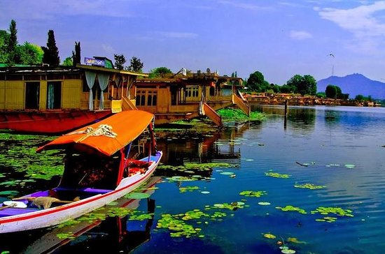 Jammu Kashmir Tour