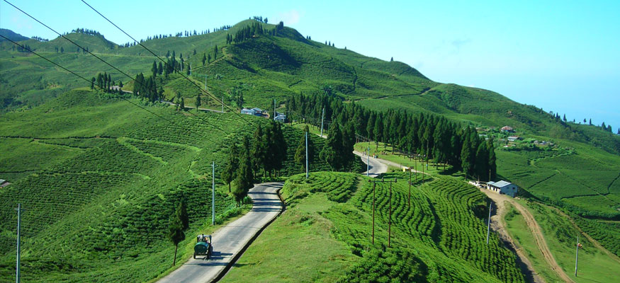 manufacturers of Darjeeling With Kalimpong Tour  in Kirti Nagar, Delhi