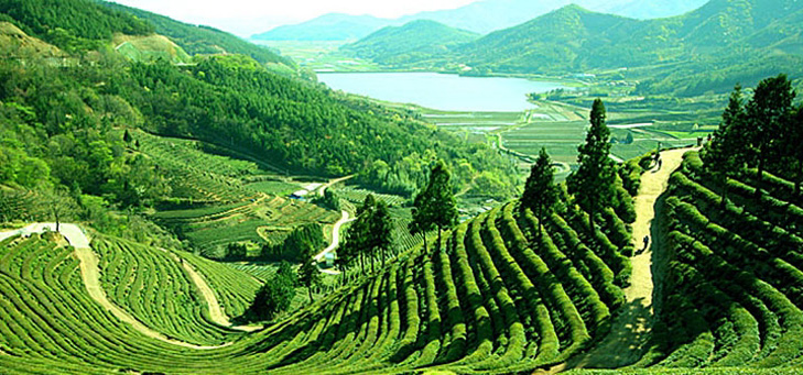 manufacturers of Splendid Tour To Gangtok  in Kirti Nagar, Delhi