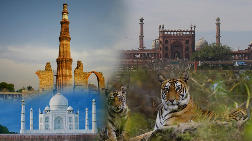 Golden Triangle with Safari
