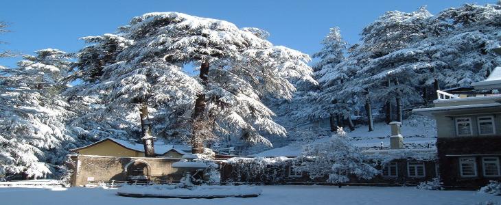 manufacturers of Amazing Himachal Tour  in Kirti Nagar, Delhi